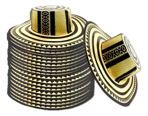 D_NQ_NP_2X_851264-MCO101927576001_122025-F Sombrero Vueltiao De Carton Hora Loca Parranda Vallenata X52